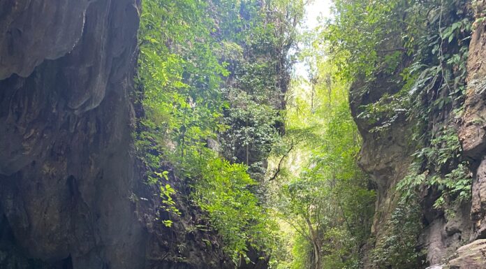 Amazing canyoneering experience at the Kawasan Falls in the Philippines